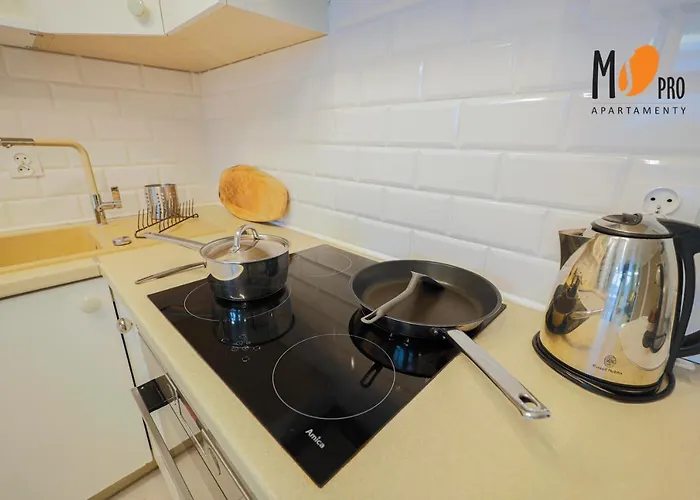 Loftowe By Ms Pro Appartement *